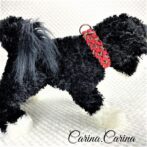 [公式]パラコード＃65No90マクラメ編みルビーと茶まだらの中、小型犬用首輪