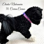 [キット]パラコード＃46No64 マクラメ編みディープ・ ディープ・パープルとピンク＆ホワイト色の犬猫