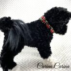 [公式]パラコード＃75No100マクラメ編みルビー・グリーン・丸玉入の犬首輪