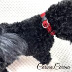 [公式]パラコード＃76No101マクラメ編み赤犬猫首輪