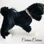 [公式]パラコード＃78No103マクラメ編み白と赤黒まだらの犬猫用首輪