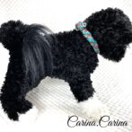 [公式]パラコードNo106マクラメ編みターコイズ/レッドとオーキッドブルーの大、中型犬用首輪