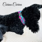 [公式]パラコード#83No109マクラメ編みローズとブルーの大、中、小型犬用首輪