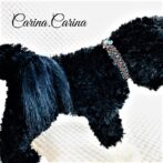 [公式]パラコード#84No1110マクラメ編み細ロープ茶と紺まだらの犬猫用首輪