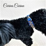 [公式]パラコード#87No113マクラメ編み青、茶の中、小型犬用首輪