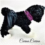 [公式]パラコード#89No115マクラメ編みローズとブラックの大、中型犬用首輪