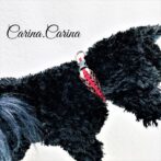 [公式]綿10％ロープ＃105No135マクラメ編み赤・茶・白の小型犬猫用首輪