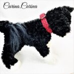 [公式]パラコード＃112No142マクラメ編み赤とネイビーの小型犬用首輪