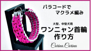 [YouTube動画]当チャンネル今、1番の高視聴率動画