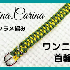 [YouTube動画]当チャンネル今、1番の高視聴率動画