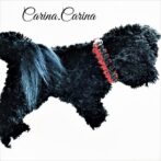 [公式]パラコード#118No148マクラメ編み赤と黒の中、小型犬用首輪