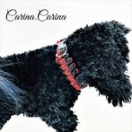 [公式]パラコード#118No148マクラメ編み赤と黒の中、小型犬用首輪