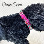 [公式]パラコード＃120No150マクラメ編みローズと赤＆ターコイズまだらの猫と小型犬首輪