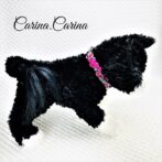 [公式]パラコード＃120No150マクラメ編みローズと赤＆ターコイズまだらの猫と小型犬首輪