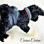 [キット]パラコード＃67No92マクラメ編みレッドとブルーの犬用首輪