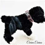 [キット]パラコード＃71No96マクラメ編みグレーと赤とまだらの犬用首輪