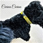 [キット]パラコード＃73No98マクラメ編みイエローとまだらの犬用首輪