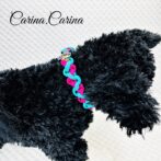 [公式]パラコード＃122No152マクラメ編みローズとオーキッドブルーの小型犬首輪