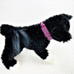 [公式]パラコード＃125No155マクラメ編み白黒ダイヤ柄とローズの小型犬首輪