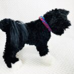 [公式]パラコード＃127No157マクラメ編み赤まだらと青の犬猫首輪