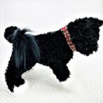 [公式]パラコード＃128No158マクラメ編み赤と茶まだらの犬猫首輪