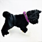 [公式]パラコードマクラメ編み＃137No167ピンク紫グレー茶の小型犬用首輪