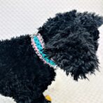 [公式]パラコードマクラメ編み＃139No169ピンクグレーエメラルドグリーン小型犬用首輪