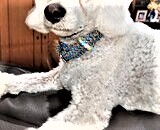 [お知らせ]池袋東武本館・年末年始出店・エツコナカムラ舞ジュエリー