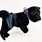 [公式]パラコードマクラメ編み＃142No172ピンク黒エメラルドグリーン小型犬用首輪