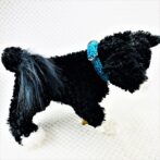 [公式]パラコードマクラメ編み＃144No174ブルー・エメラルドグリーン・白黒まだらの小型犬用首輪