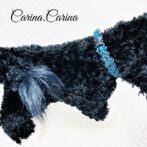 [キット]パラコードマクラメ編み＃92青と紺まだらの犬猫首輪No118