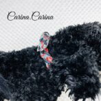 [キット]パラコード#79マクラメ編みネイビー・ターコイズまだらの中、小型犬用首輪No104