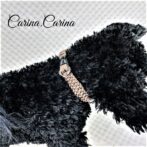 [キット]パラコードマクラメ編み＃82 茶の小型犬・猫首輪No108