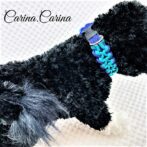 [キット]パラコードマクラメ編み#85ブルー・紫の中、小型犬用首輪No111