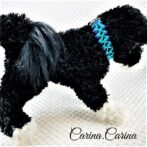 [キット]パラコードマクラメ編み#85ブルー・紫の中、小型犬用首輪No111