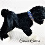 [キット]パラコードマクラメ編み#87ブルー・薄茶の中、小型犬用首輪No113