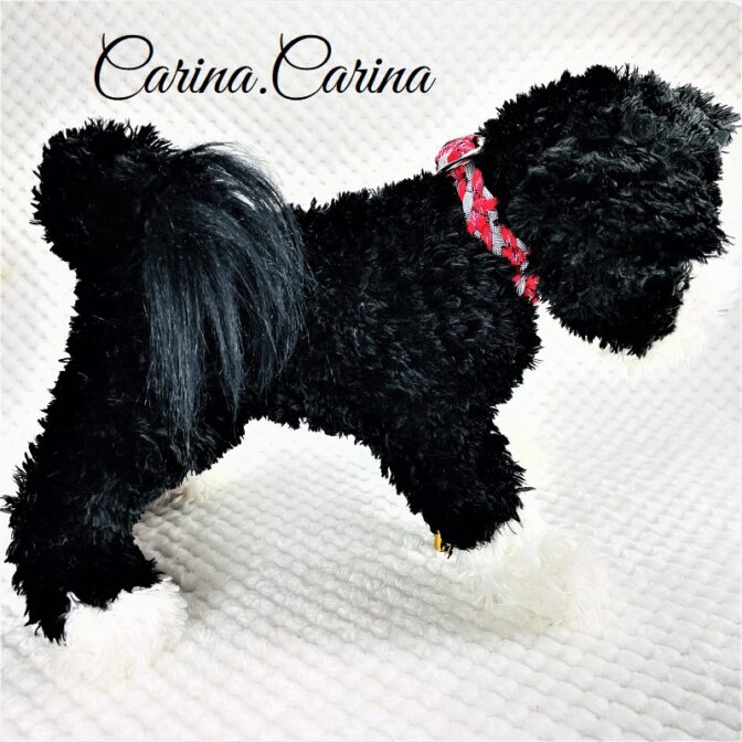 [キット]パラコードマクラメ編み#88レッド・シルバーグレーの中、小型犬用首輪No114