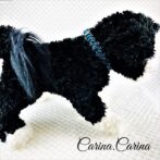 [キット]パラコードマクラメ編み＃92青と紺まだらの犬猫首輪No118