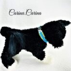 [キット]パラコード＃101No130マクラメ編み白・青・ブルー・グリーン・の首輪