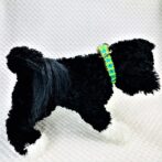 [公式]パラコードマクラメ編み＃151トルコブルー・グリーン・ダークグリーン・茶の小型犬・猫用首輪No181