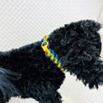 [公式]パラコードでマクラメ編み#155 平結びシリーズカラフル＆キュートNo2の小型犬用首輪No185