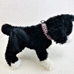 [公式]パラコードでマクラメ編み#157平結びシリーズカラフル＆キュートNo5の小型犬用首輪No187