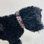 [公式]パラコードでマクラメ編み#157平結びシリーズカラフル＆キュートNo5の小型犬用首輪No187