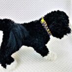 [公式]パラコードでマクラメ編み#159平結びシリーズカラフル＆キュートNo7の小型犬用首輪No189