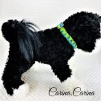 「キット]パラコード#95No124マクラメ編みブルーとグリーンの中型・小型犬・猫用首輪