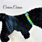 「キット]パラコード#95No124マクラメ編みブルーとグリーンの中型・小型犬・猫用首輪