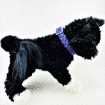 [公式]パラコードマクラメ編み＃165 ピンクとエメラルドグリーンと紫の小型犬用首輪No195