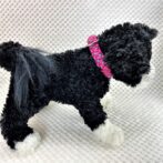 [公式]パラコード#170-1マクラメ編み 首輪＆リードセットの首輪編No200-1