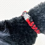 [公式]パラコードマクラメ編み赤と黒の猫と犬首輪No207