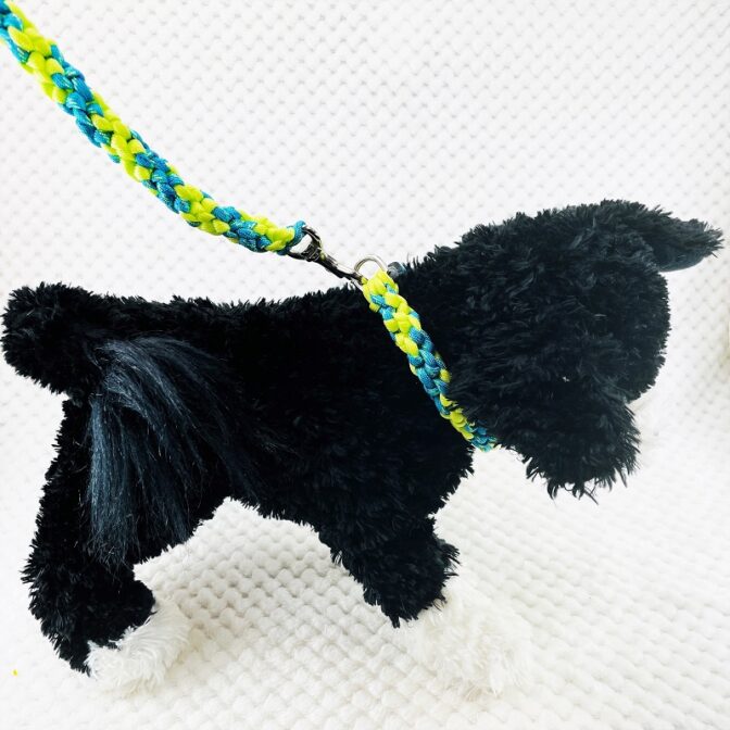 [公式]パラコードNo206マクラメ編みライトグリーンとブルーの小型犬首輪＆リードセット#120